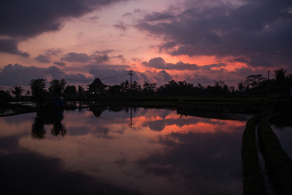 BALI