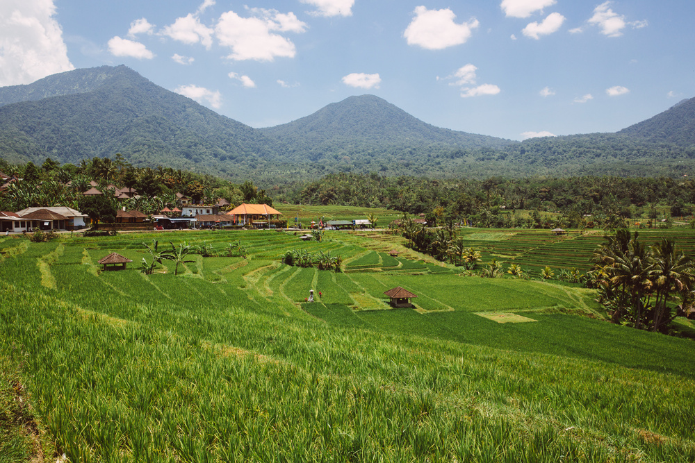 BALI