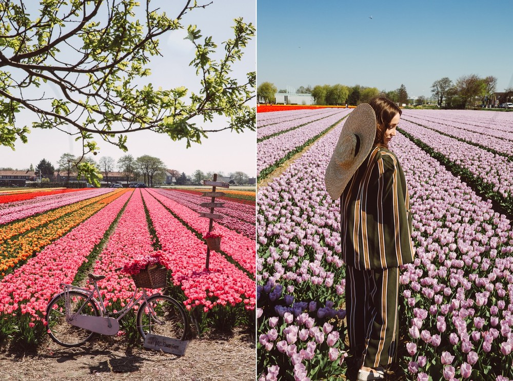 NETHERLANDS