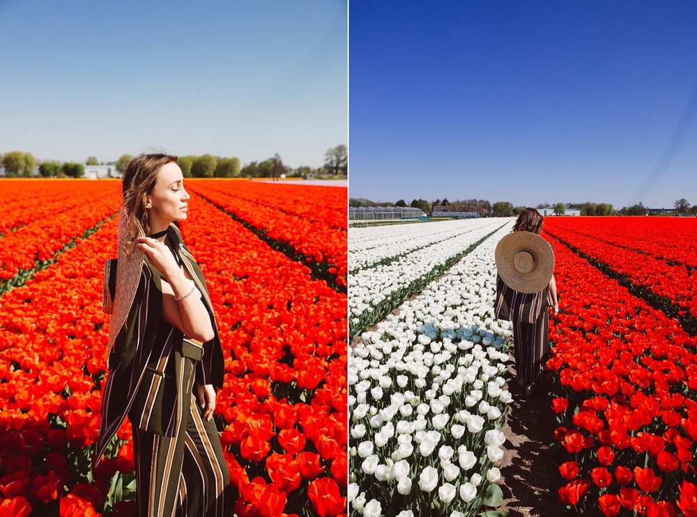 NETHERLANDS