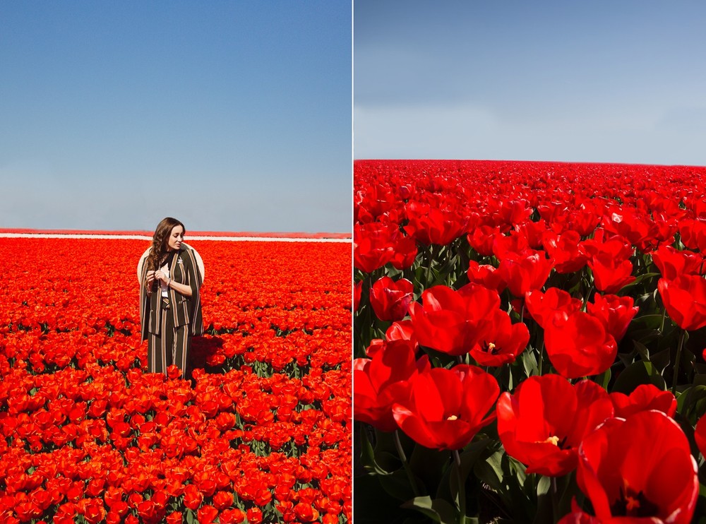 NETHERLANDS