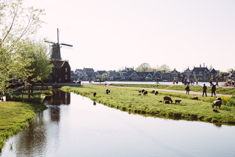 NETHERLANDS