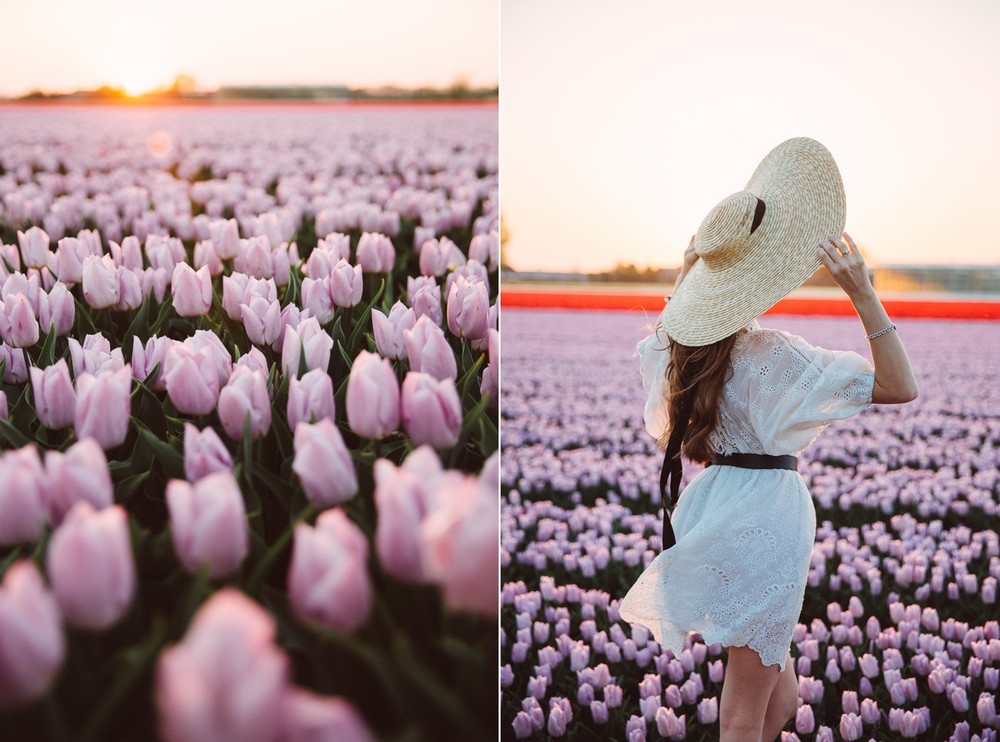 NETHERLANDS