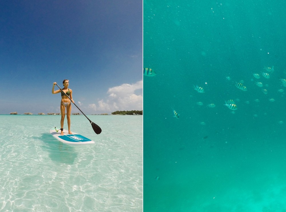 MALDIVES '18