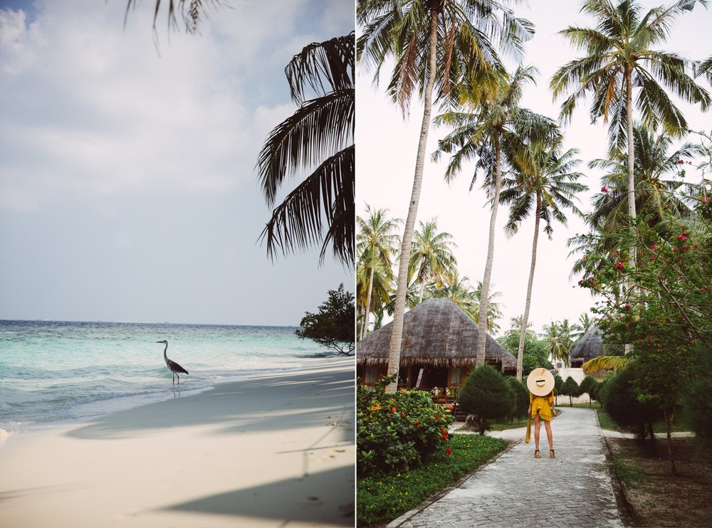 MALDIVES '18