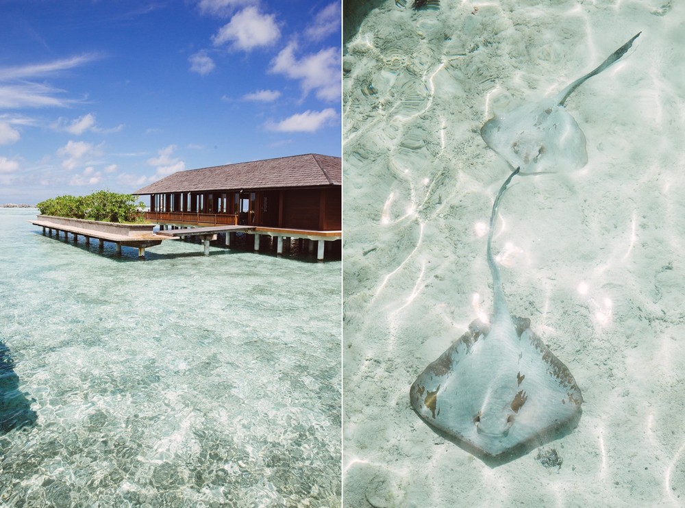 MALDIVES '18