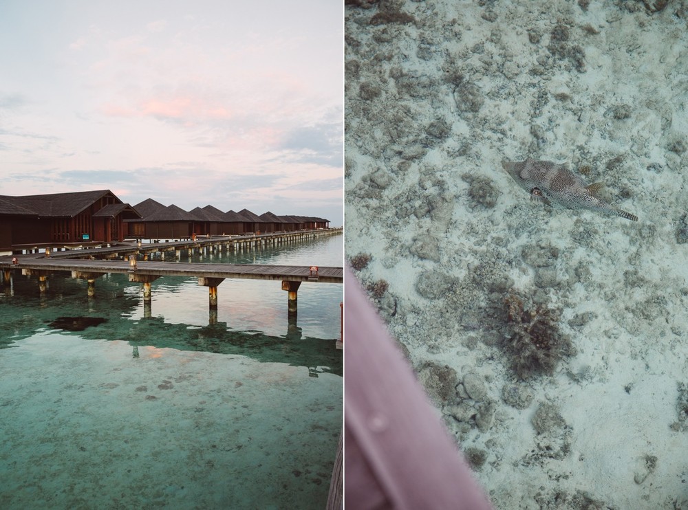 MALDIVES '18