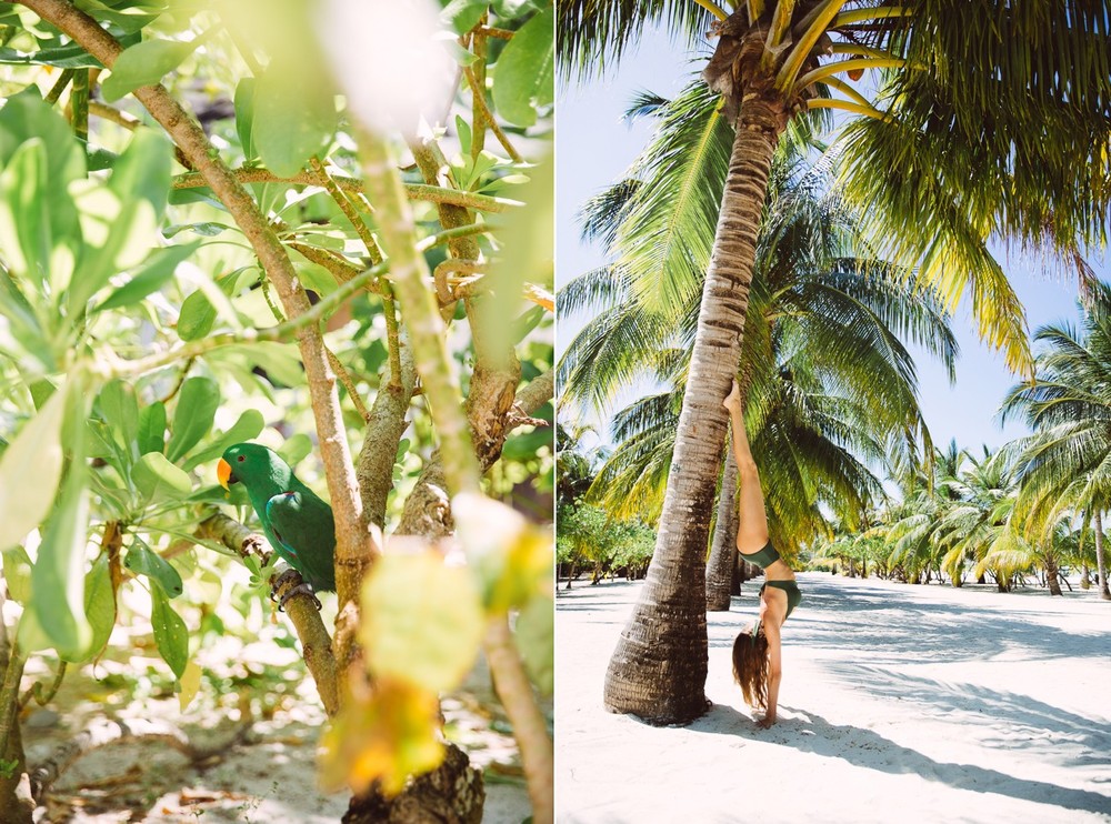 MALDIVES '18