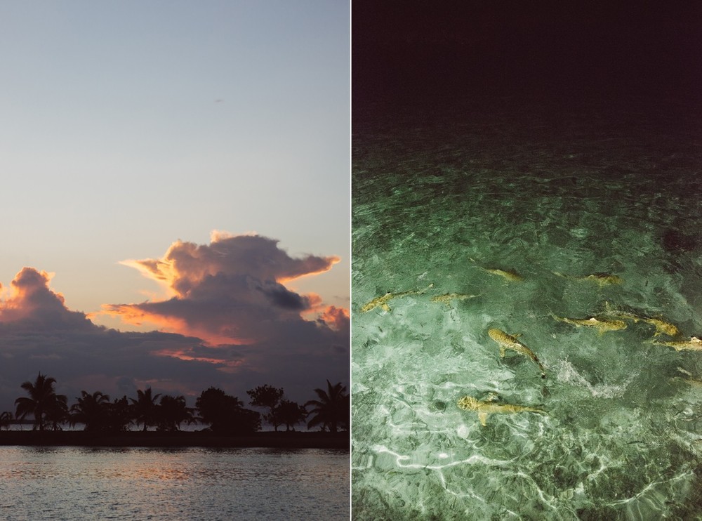 MALDIVES '18