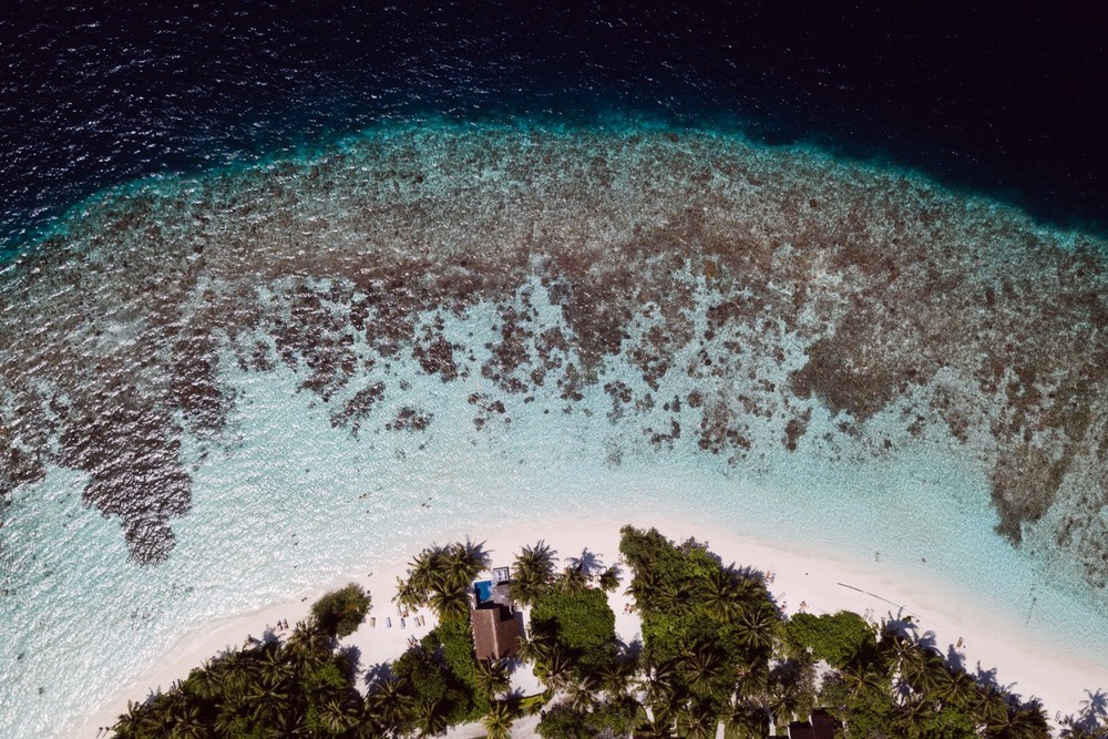 MALDIVES '18
