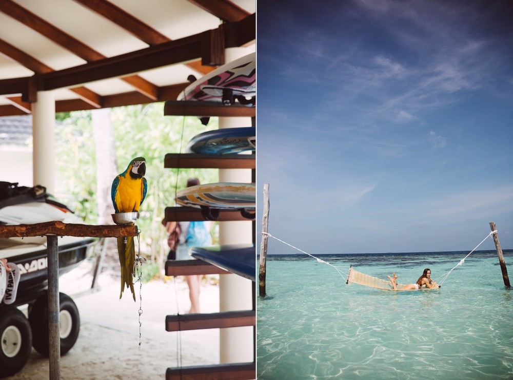 MALDIVES '18