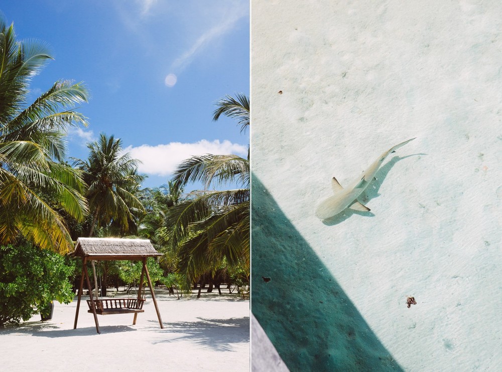 MALDIVES '18
