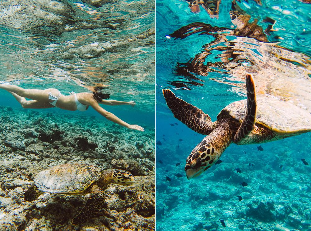 MALDIVES '19
