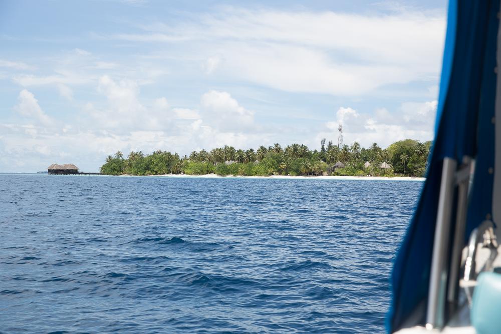 MALDIVES '19