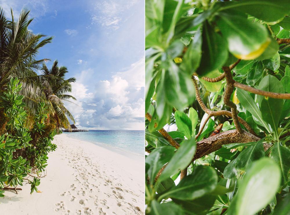 MALDIVES '19