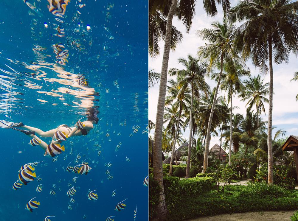 MALDIVES '19