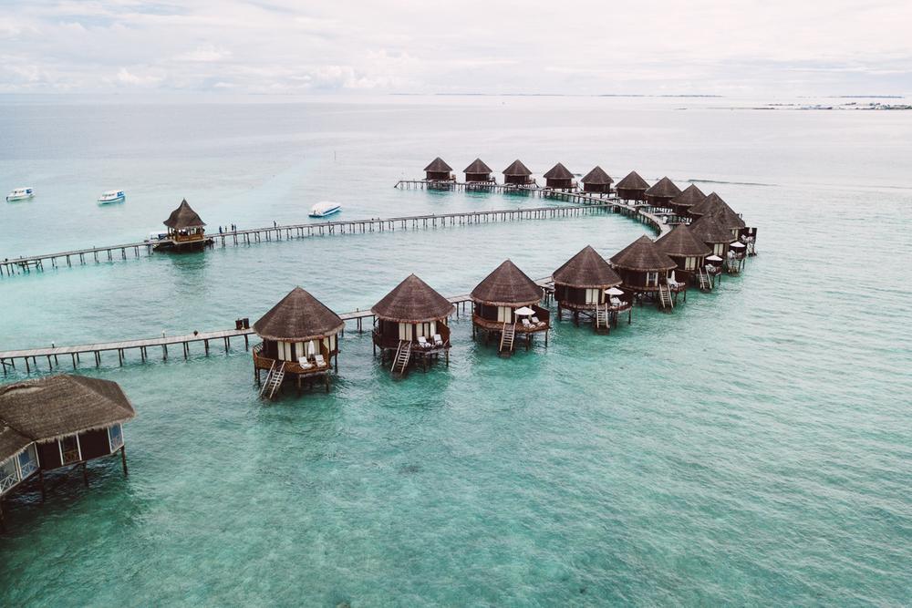 MALDIVES '19