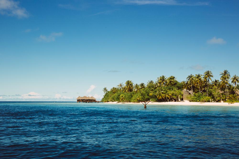MALDIVES '19