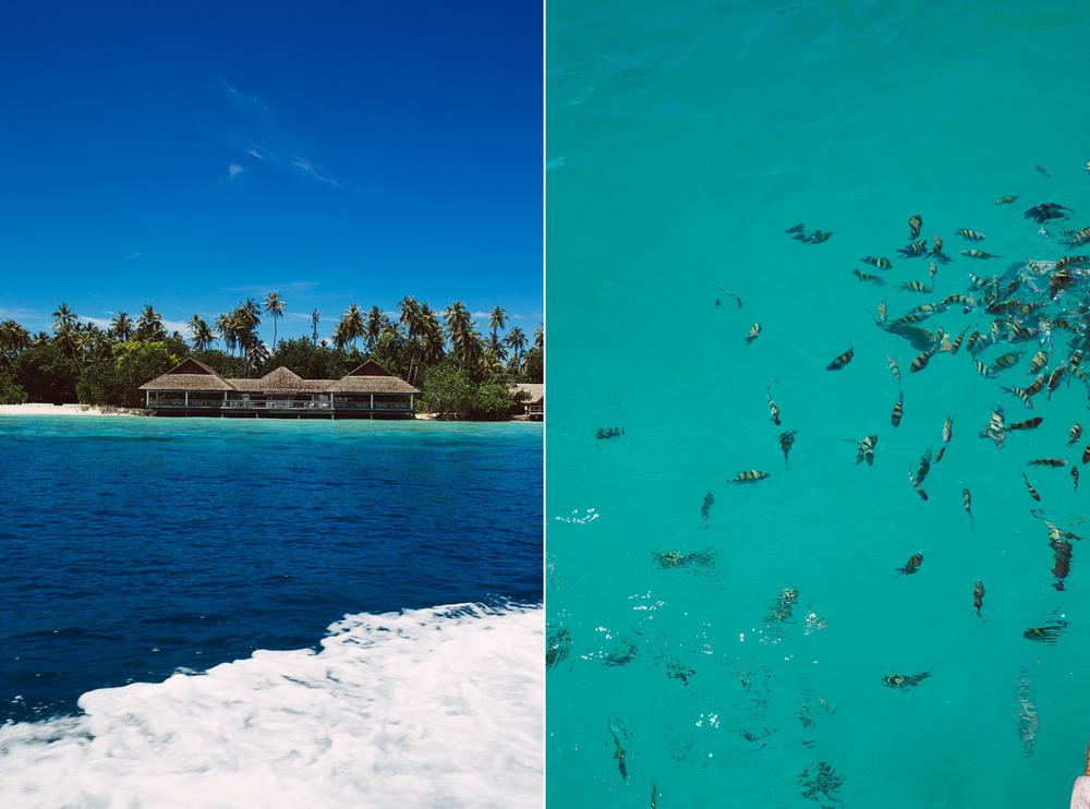 MALDIVES '19