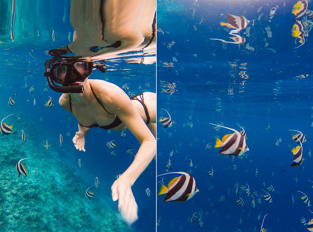 MALDIVES '19