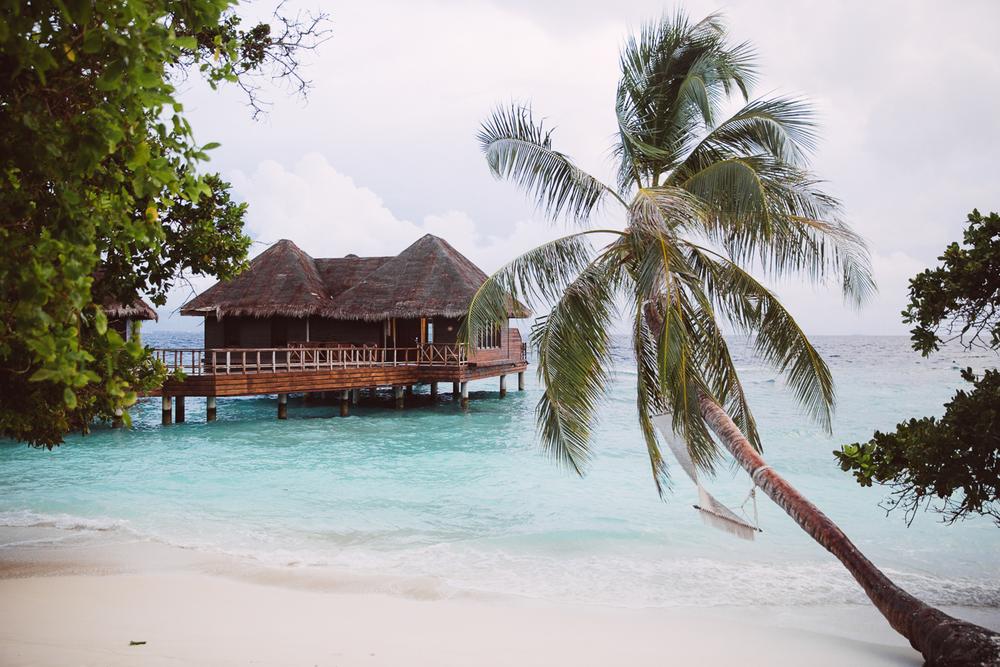 MALDIVES '19