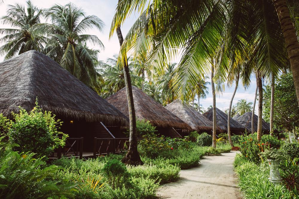 MALDIVES '19