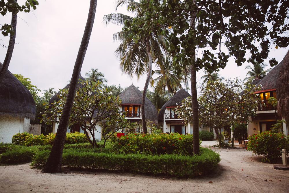 MALDIVES '19