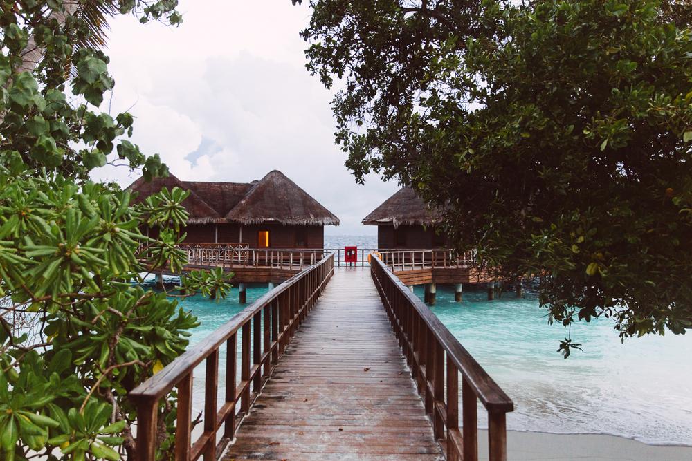 MALDIVES '19