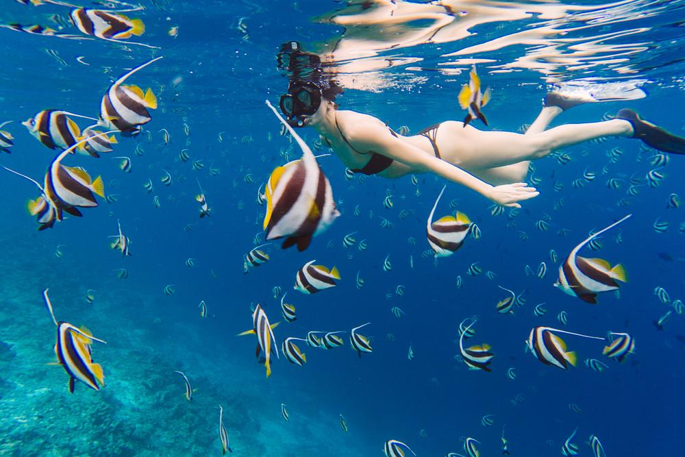 MALDIVES '19