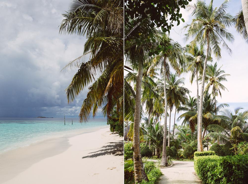 MALDIVES '19