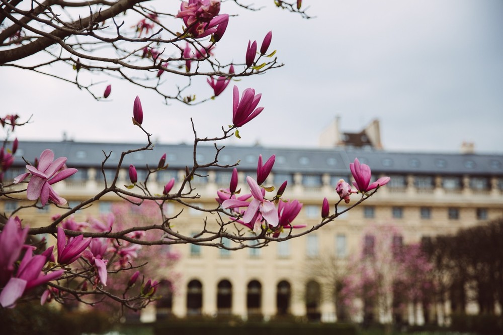 FRANCE '18