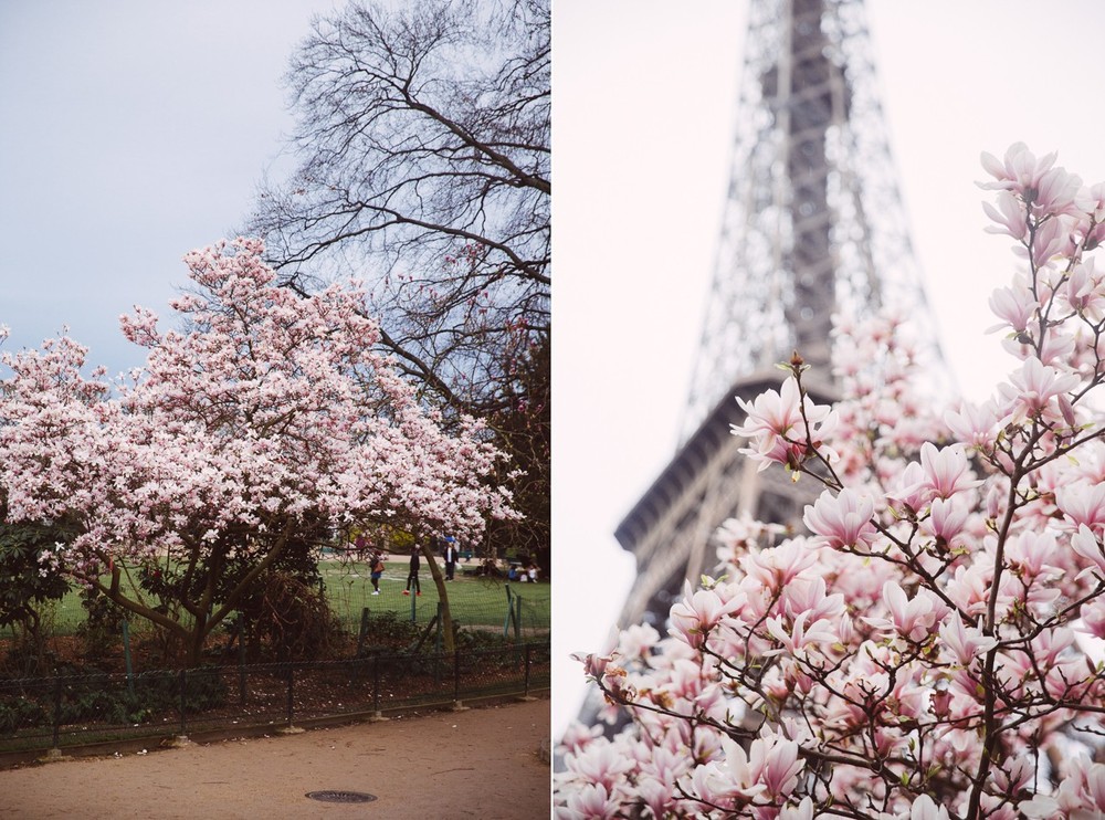FRANCE '18