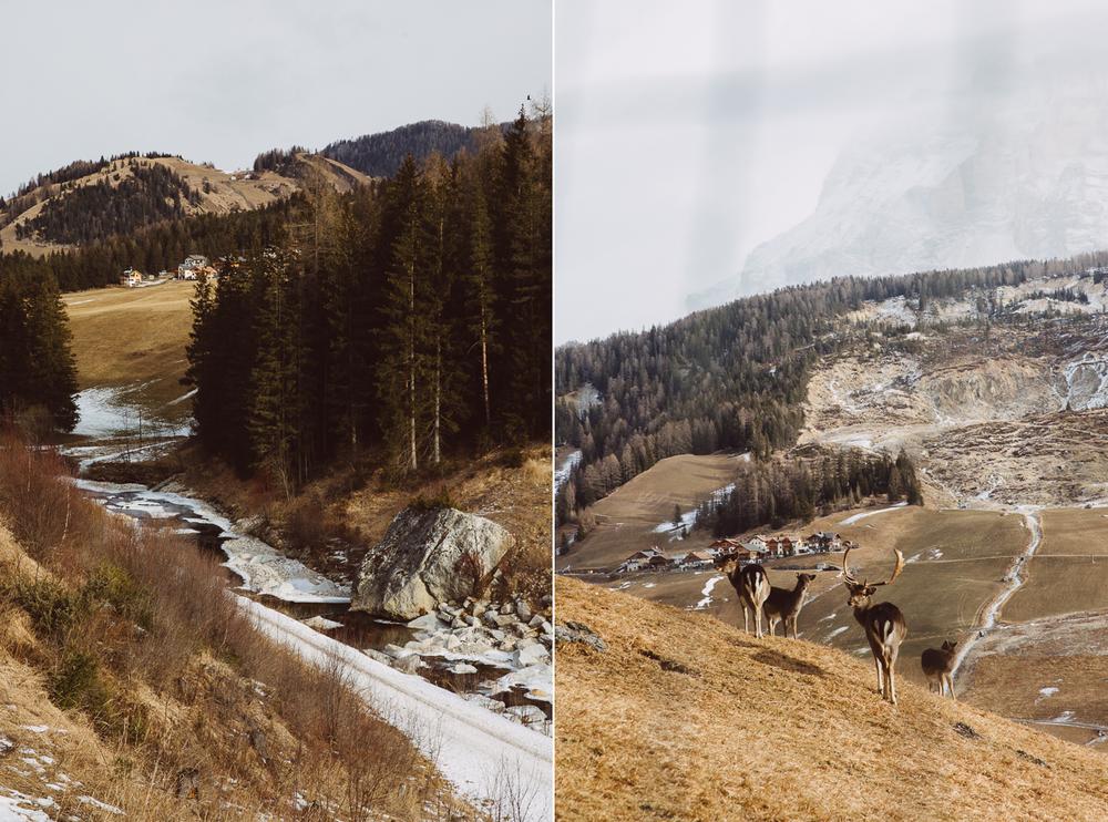 ITALY '19