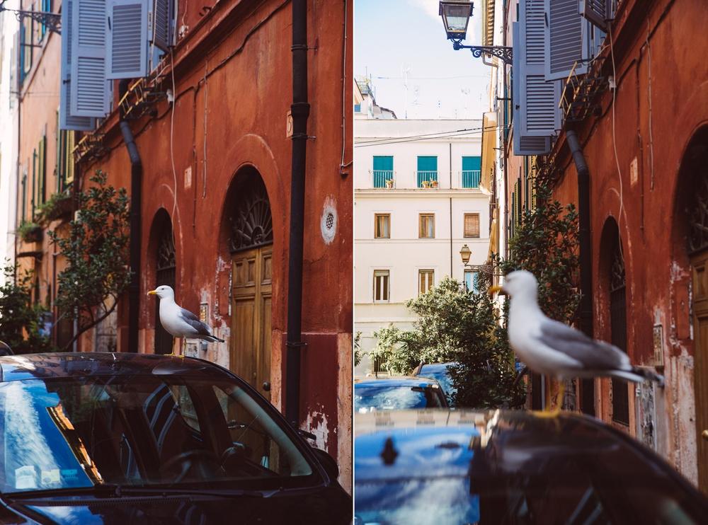 ROME 