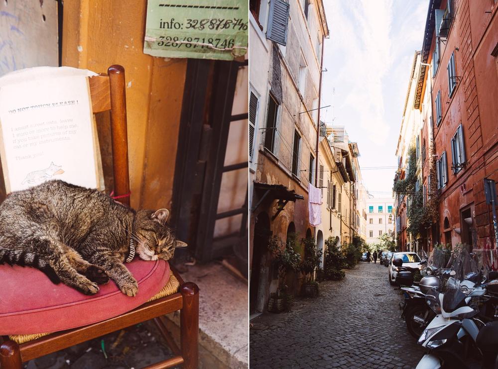ROME 