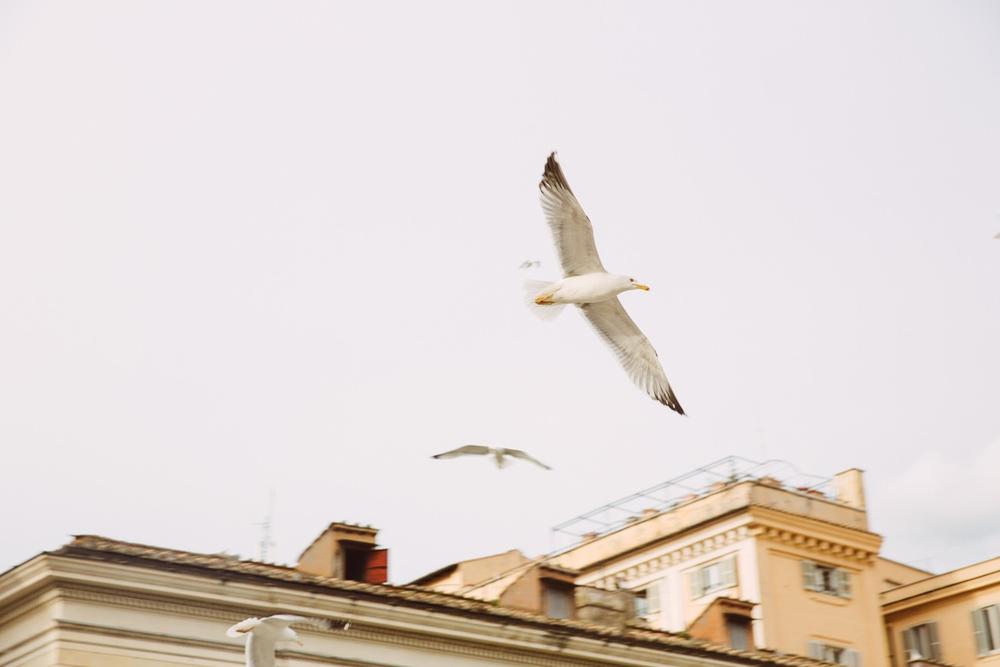 ROME 