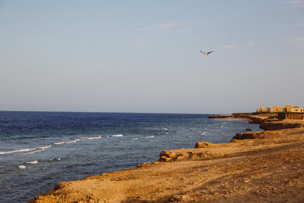 EGYPT '20
