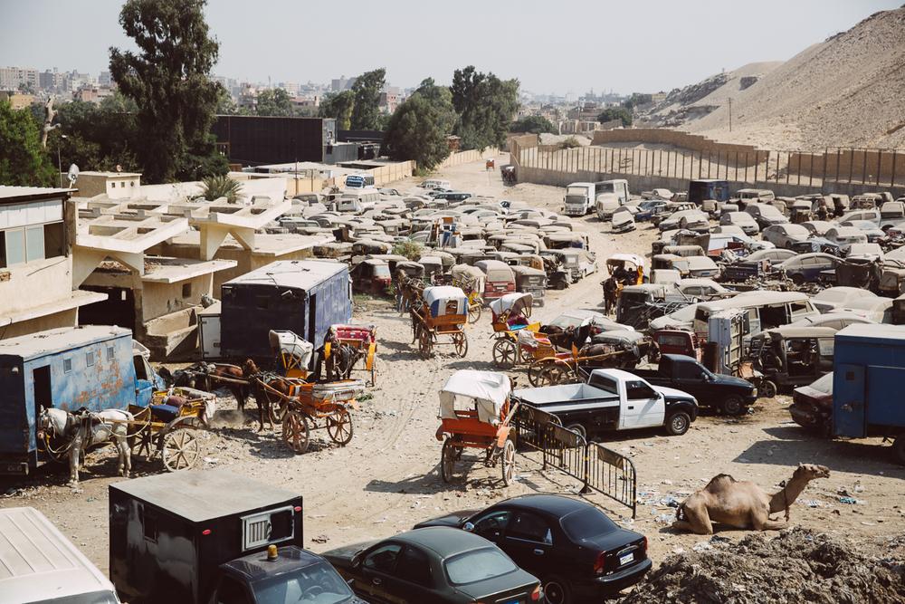 EGYPT '20