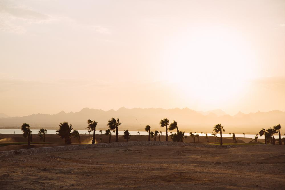 EGYPT '20