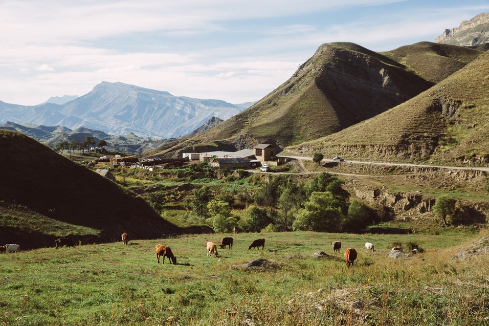 DAGESTAN