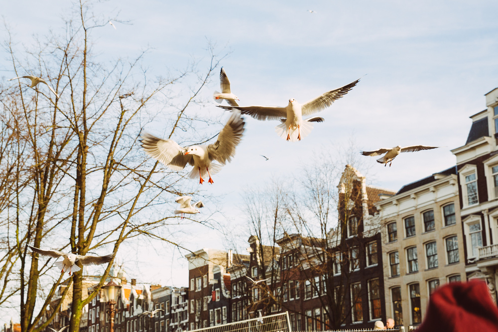 AMSTERDAM, NETHERLANDS