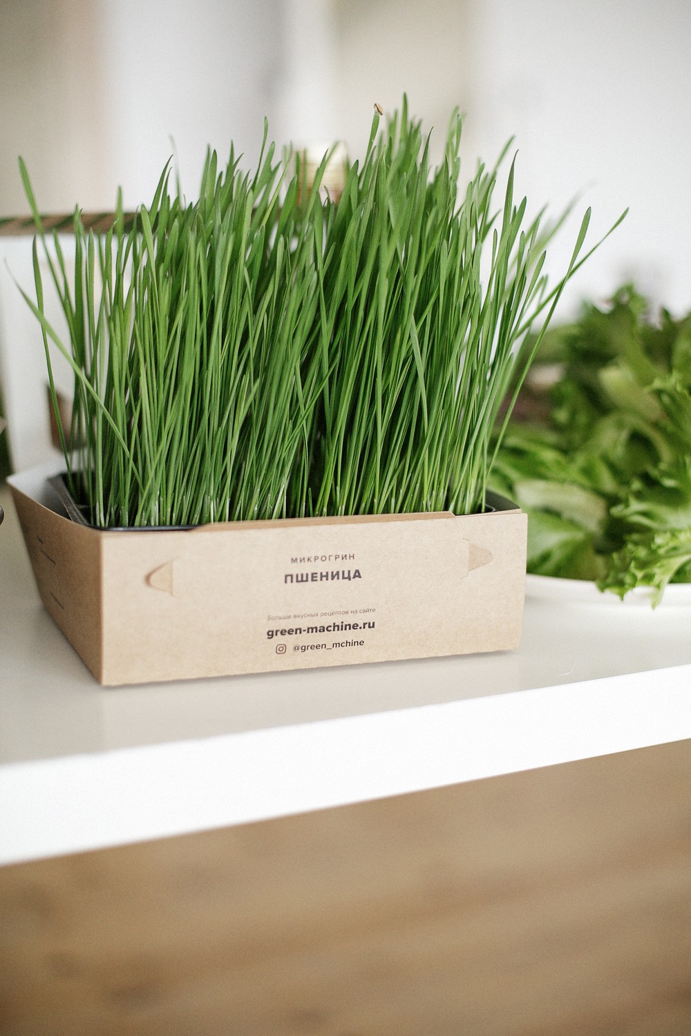 SPRING FOOD & STYLE WORKSHOP 02.04.2017
