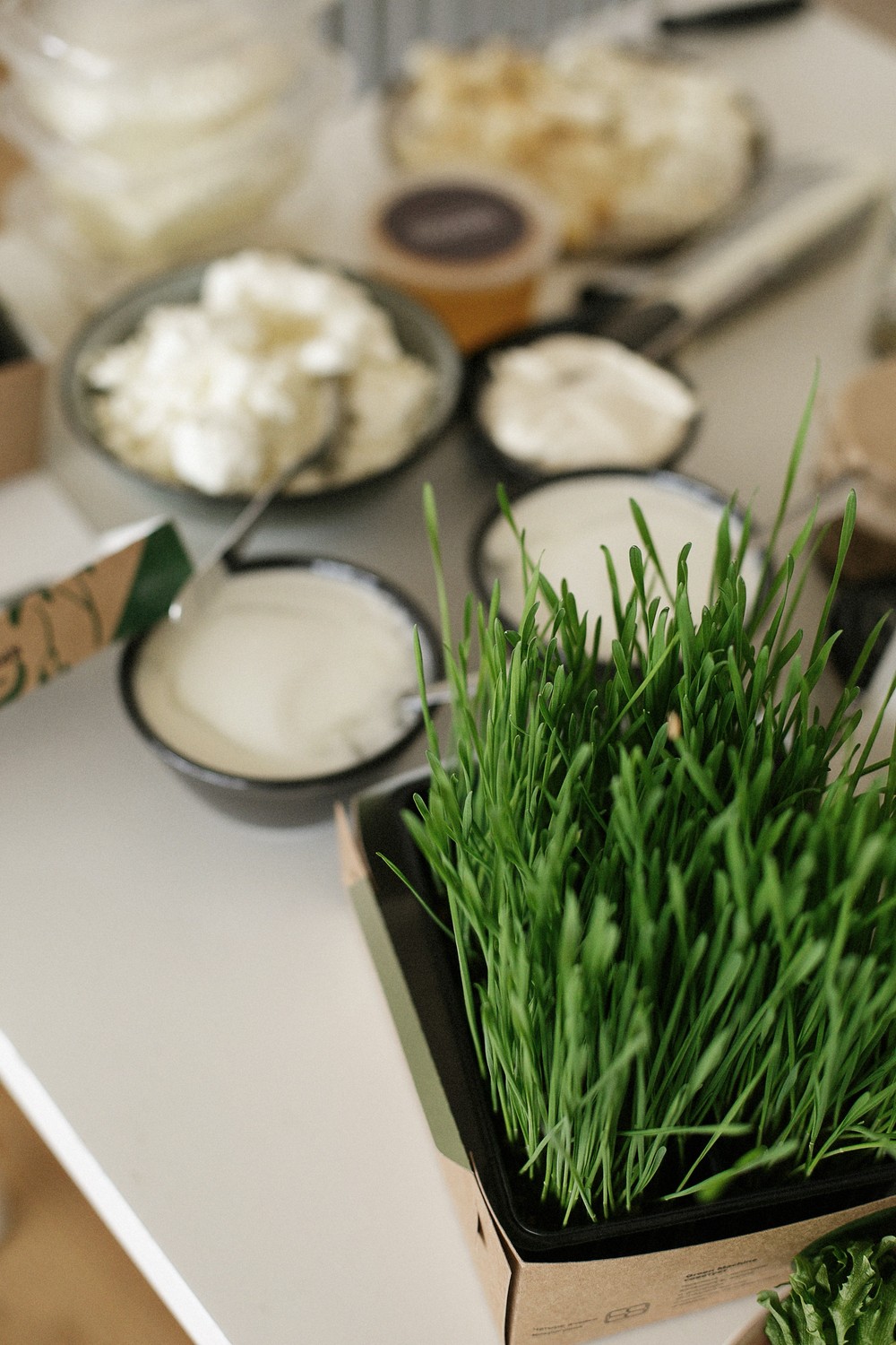 SPRING FOOD & STYLE WORKSHOP 02.04.2017