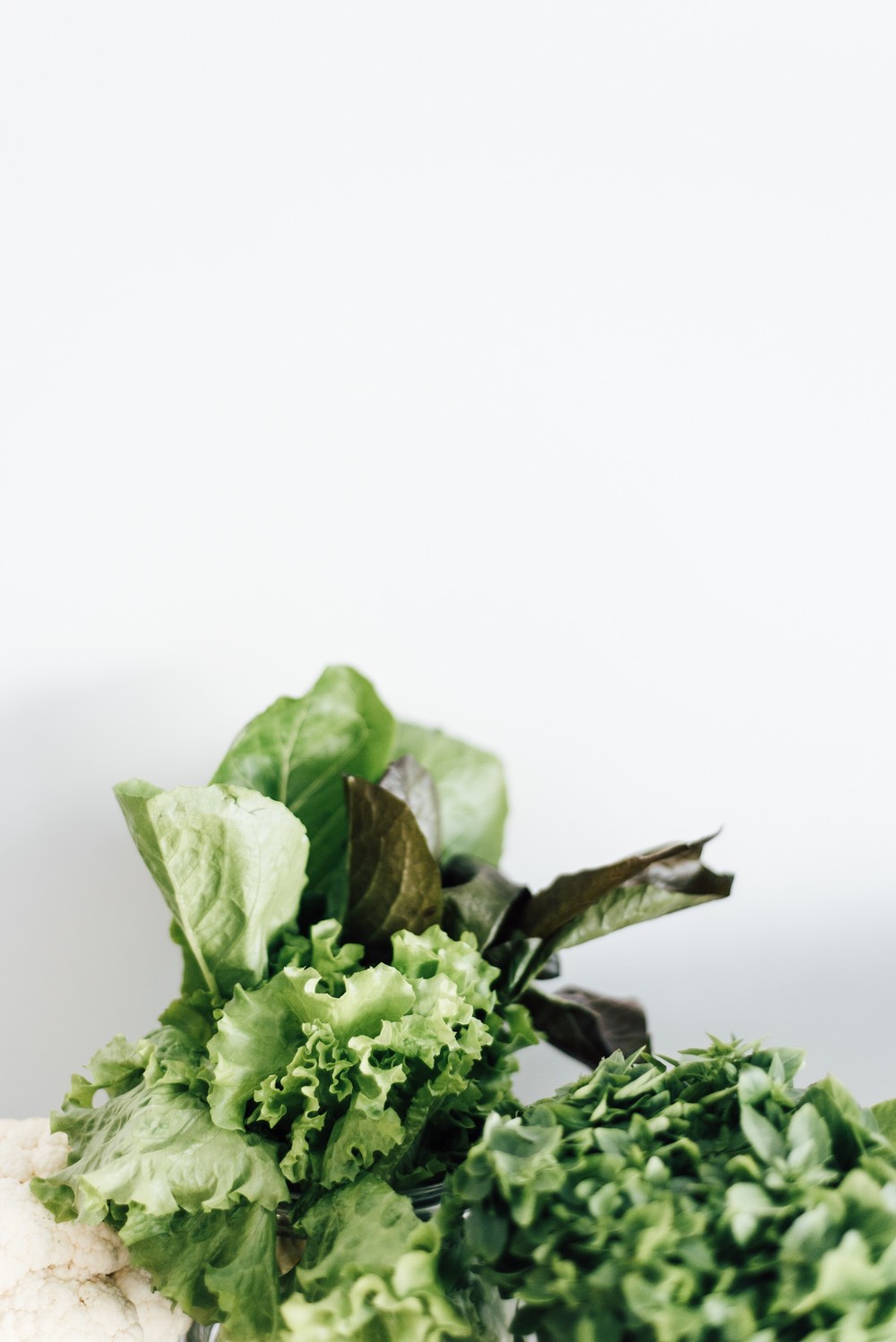 SUMMER FOOD WORKSHOP MOSCOW 02.06.2018