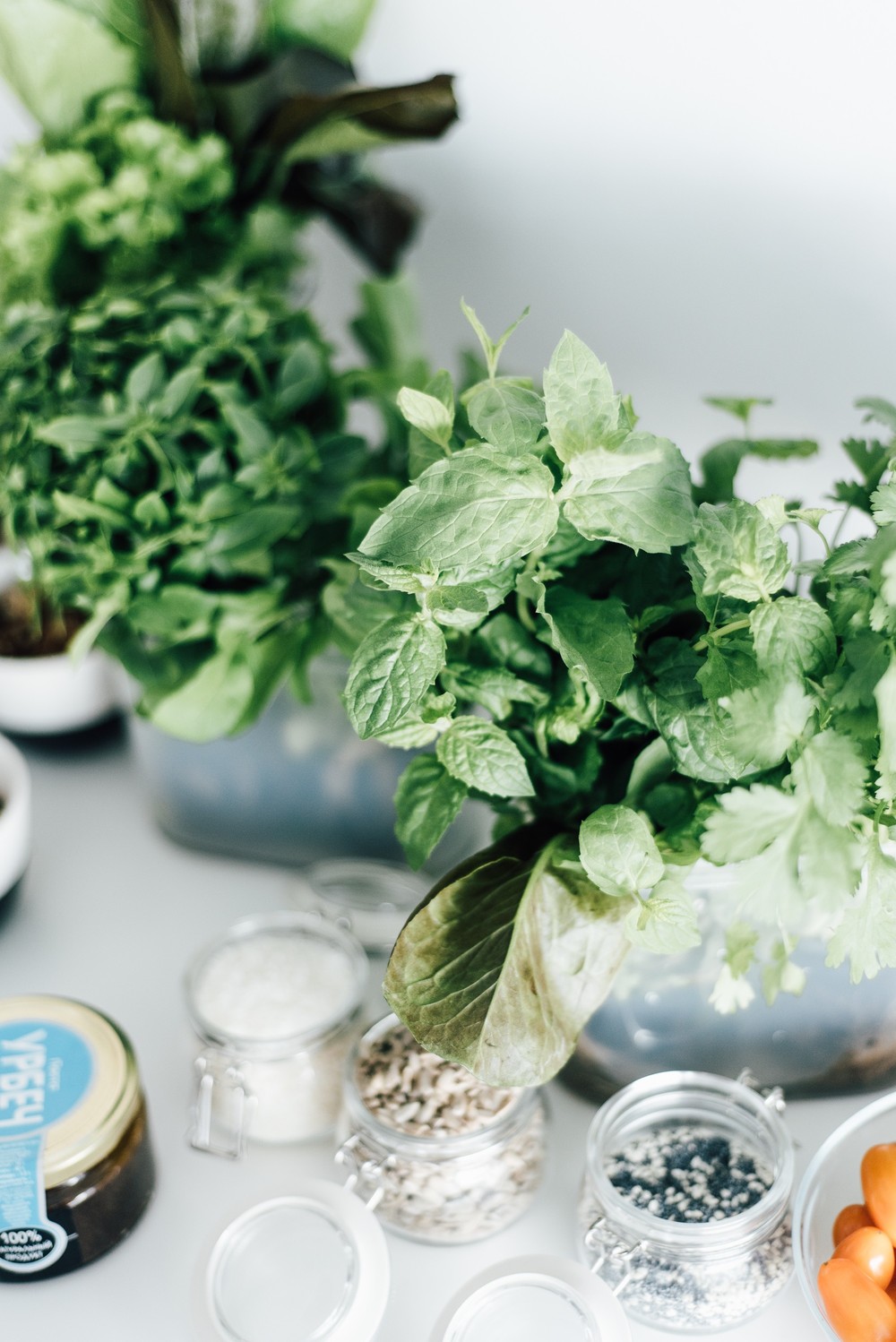 SUMMER FOOD WORKSHOP MOSCOW 02.06.2018