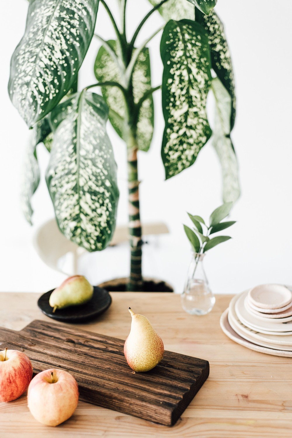 SUMMER FOOD WORKSHOP MOSCOW 02.06.2018