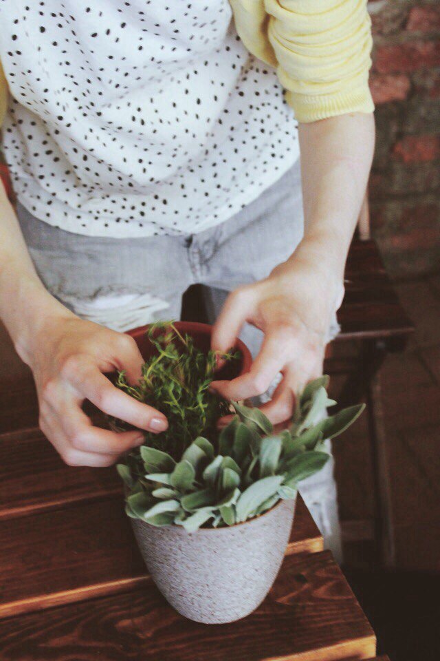 SUMMER SCHOOL WORKSHOP 23.06.2015