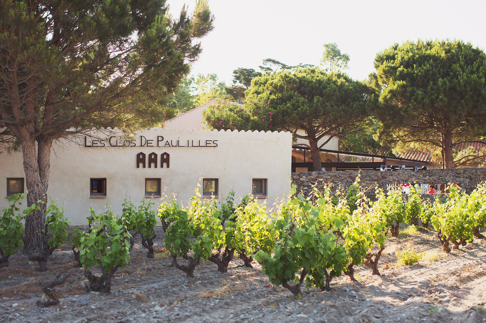 Philippe&Elena, France, 2015