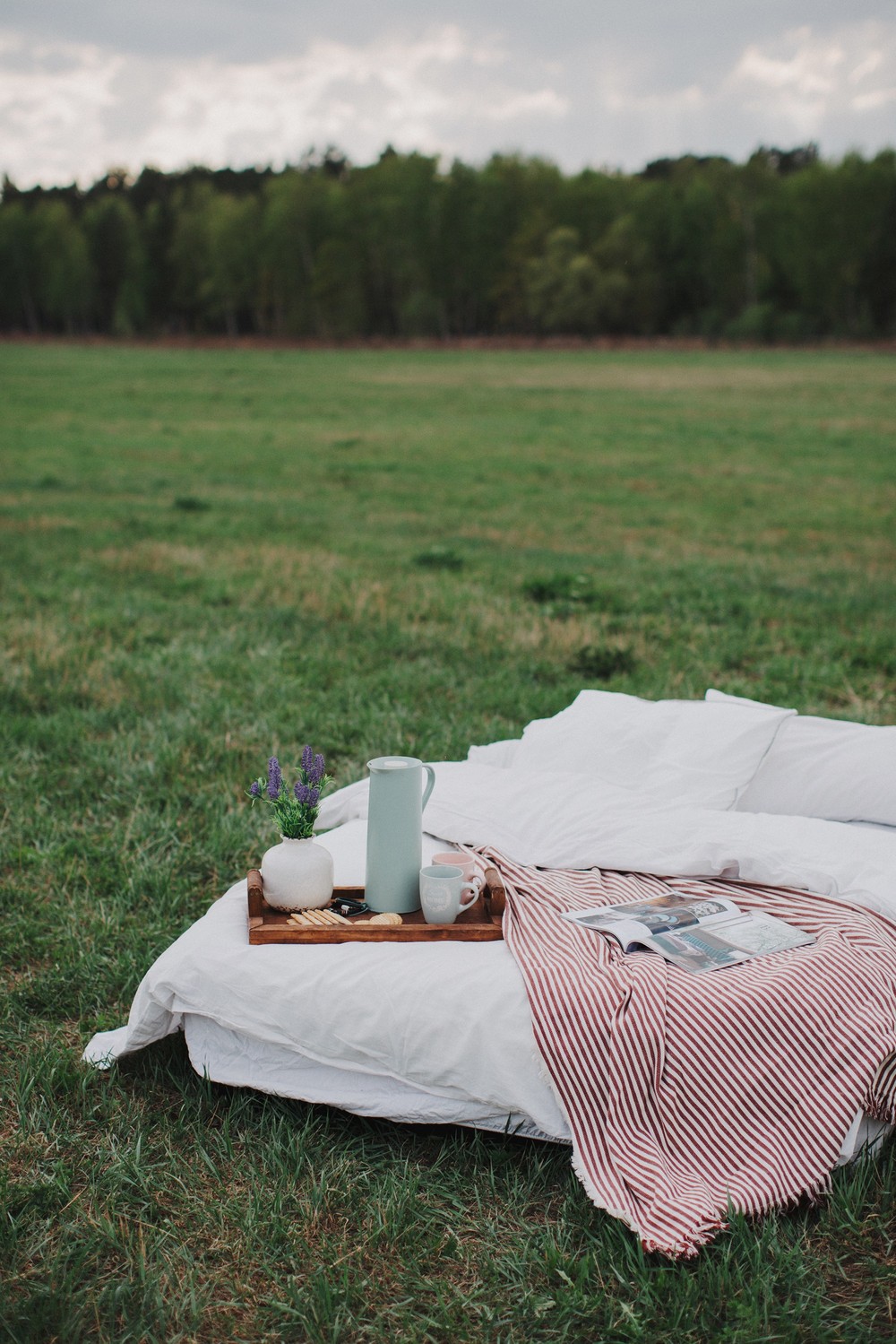 Breakfast in the field
