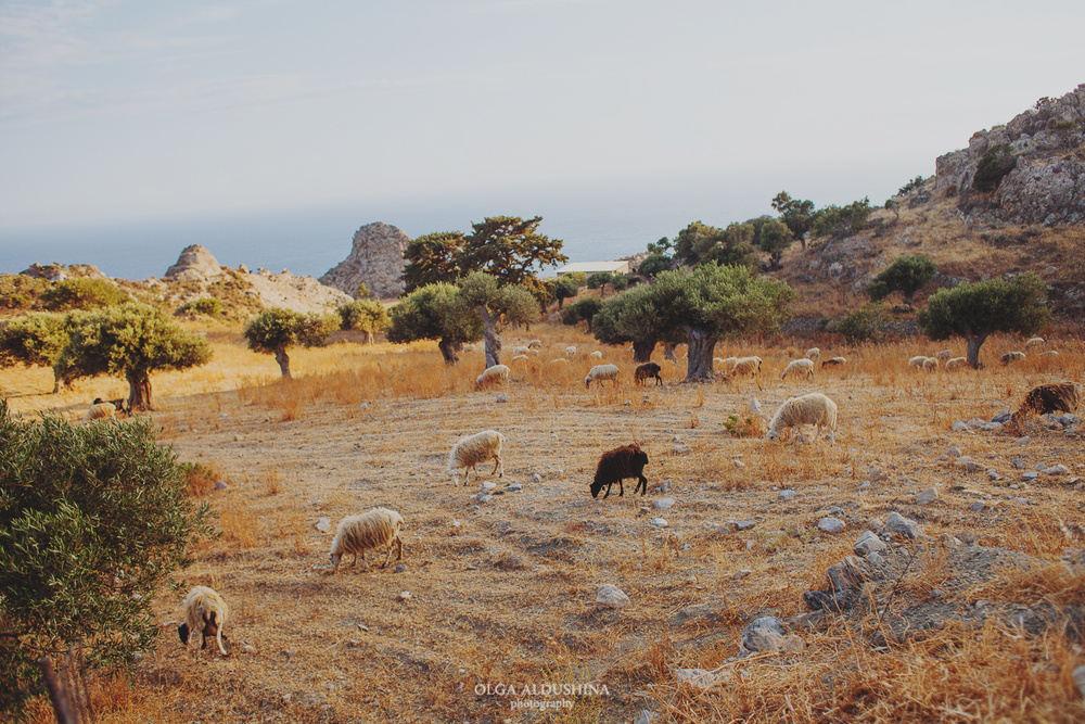 Ira & Vadim. South Crete